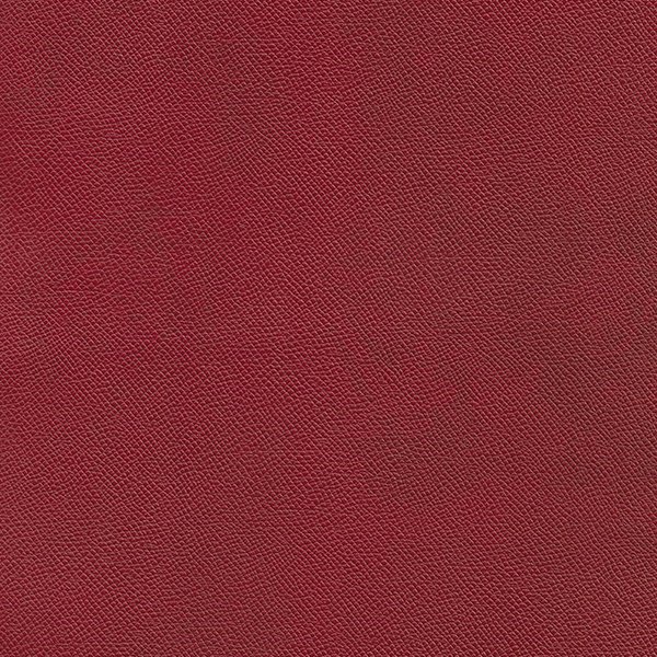 Cow Smart - Tan Red